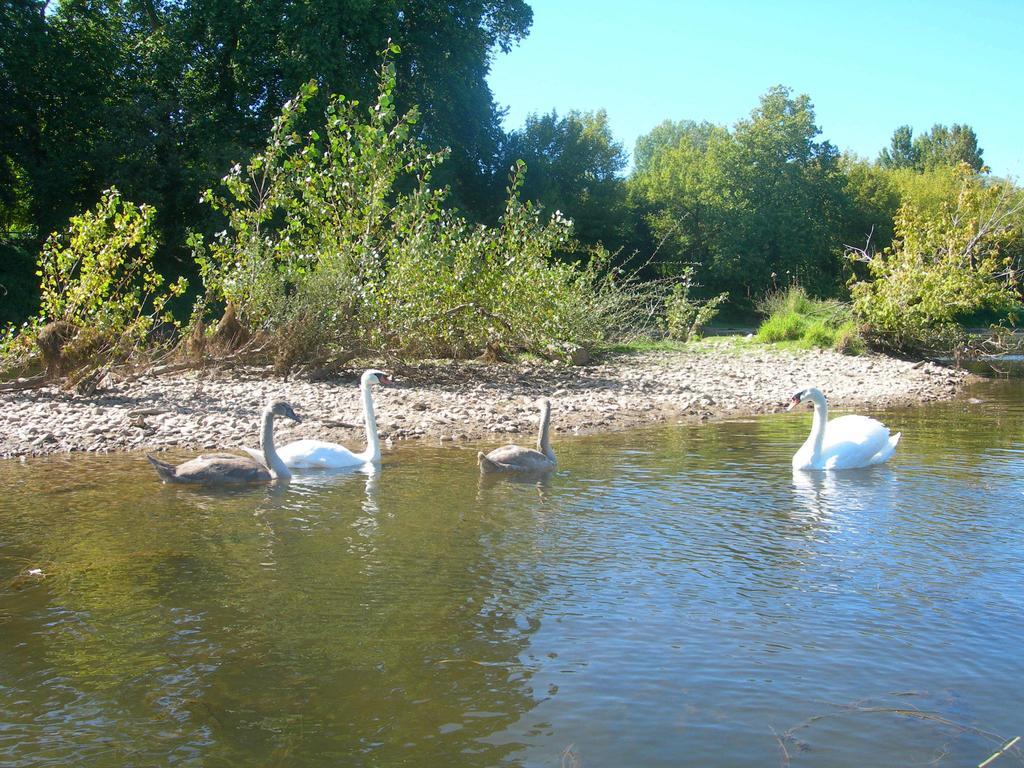 Moulin Des Sandaux Sainte-Foy-la-Grande Esterno foto