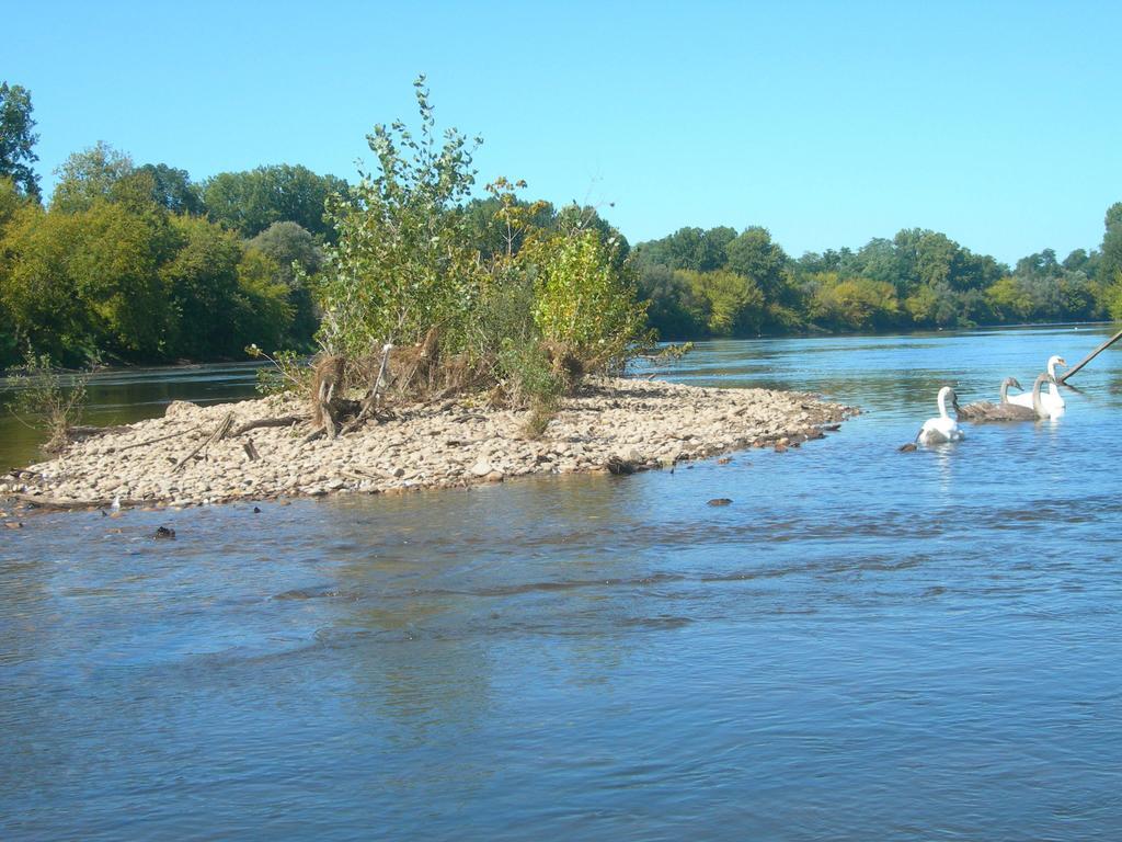 Moulin Des Sandaux Sainte-Foy-la-Grande Esterno foto