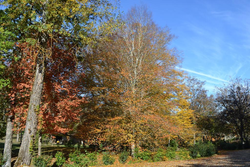 Moulin Des Sandaux Sainte-Foy-la-Grande Esterno foto
